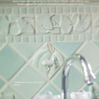 Aloe 4x4 with Aloe Amazon decos