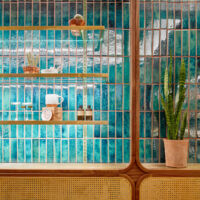 2x8 Water Lily, Greenhouse Juice Store