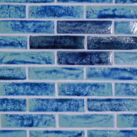 Coastal Blue and Blue Lagoon 2 x 8